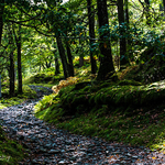 Lake District 022