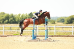 SBM_002021