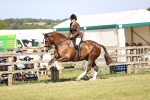 Class 87-88 - RIHS BSHA Riding Horses portfolio