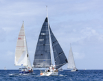 Jaystar, DSC_5237