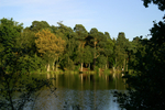 Buchan Park - 24