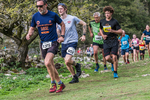 Dovedale-803
