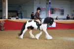 SBM_09747