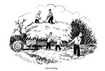 Loading the hay