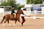 SBM_01083