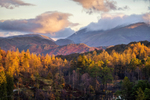 Views From Tarn Hows