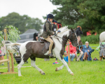 Dunblane show-330