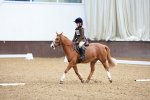 SBM_001039