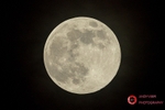 190320-untitled-1L4A0259