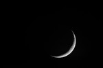 ACP_8595-2