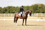 SBM_004211