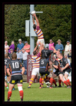 Fylde Rugby 2017-5