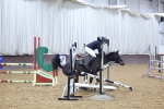 SBM_003305