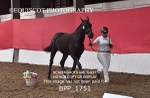 BPP_1751