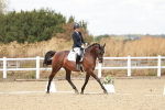 SBM_009906