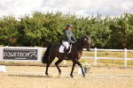 SBM_003336