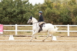 SBM_003600