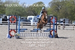 BPP_1462