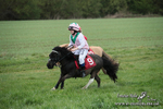 SHETPR 210425 202