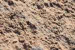 231015A-112232-07434