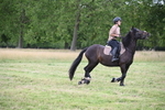 WJ6_4928