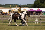 SBM_17819