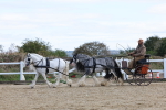 SBM_001177