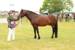 SBM_04314