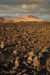 Los Herveridos, Lanzarote