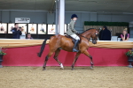 SBM_05334