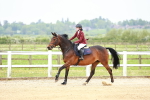 SBM_009195