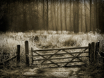 Frosty Gate