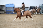 SBM_006135