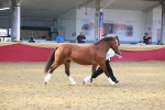 SBM_16712