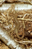 Common Lizard