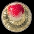 Strawberry-Fiz