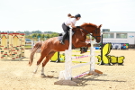 SBM_006380