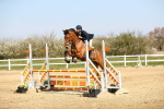 SBM_000682