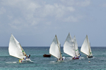 Bequia Easter Regatta_Heineken Challenge - Local Fishing Boatsgrw_8878