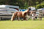 SBM_02449