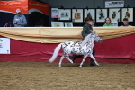 SBM_16016