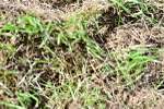 SBM_10134