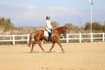 SBM_009148