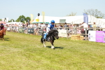 SBM_17287