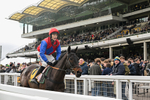 240126-Race 3-Donnacha-6531