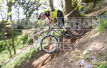 MTB 2017  Downhill Race-2-29