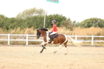 SBM_008492
