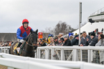 240126-Race 3-Donnacha-6501