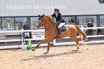 BPP_5722
