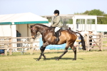 SBM_19754